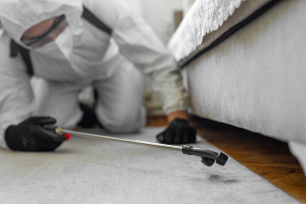 Professional Bed Bug Control technician working in Bellefonte, DE