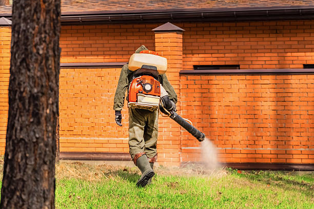 Trusted Bed Bug Control service in Bellefonte, DE - Nex Pest Control